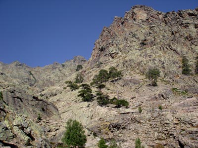 Bergerie de Radule