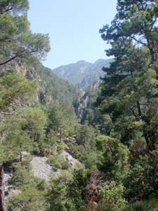 Blick in die Schlucht