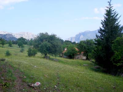 Yayla