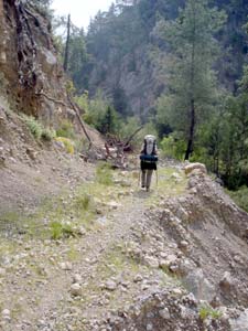 Der Forstweg wird immer schlechter